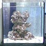 砂と岩の配置例