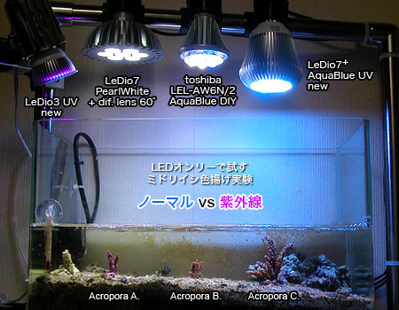 紫外線LEDの実験水槽