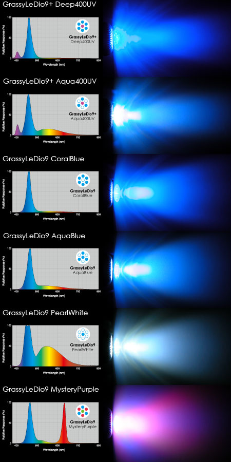 新Grassy LeDio 9シリーズの分光スペクトルと配光