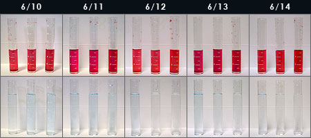バイオペレット実験2日目～6日目の水質変化