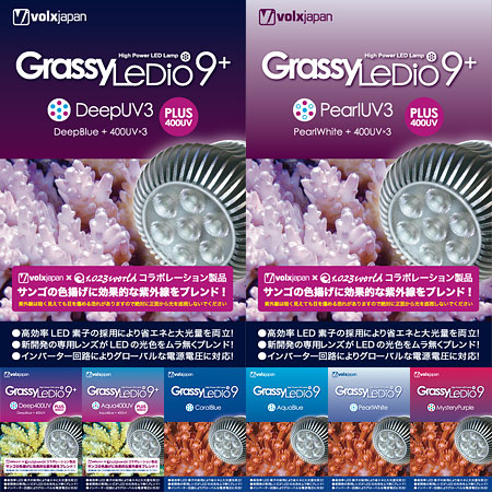 Grassy LeDio 9シリーズ 新パッケージ
