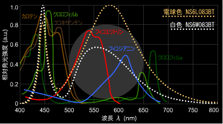 日亜LEDスペクトルと光合成色素吸収スペクトル