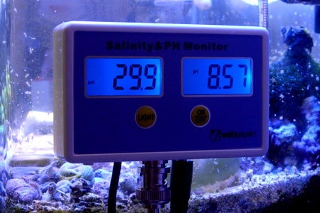 塩分濃度&pHモニタ WQM2771を水槽にセットした様子