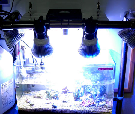 水槽に仮設置した太陽光スペクトルLEDシステム照明デモ機