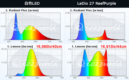 白色LEDとLeDio27 ReefPurpleのスペクトルと光量