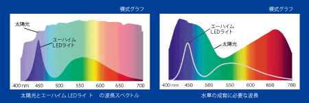 エーハイムLEDのスペクトル