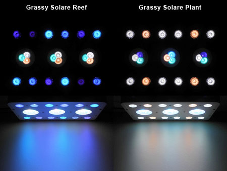 Grassy Solare LED配色とビーム光