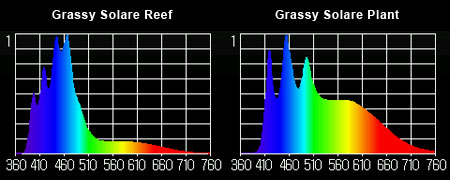 Grassy Solare 実測スペクトル
