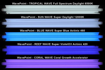 WavePoint 光色