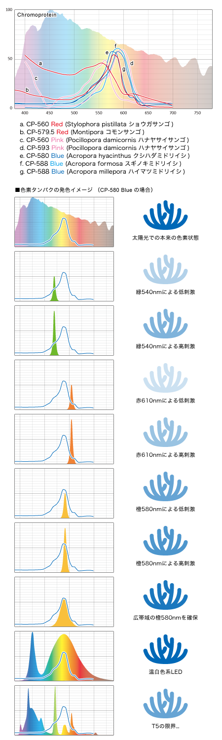CP-580 Blueの場合の波長毎の発色イメージ