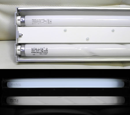 NEC蛍光灯とVITA-LITEの光色比較