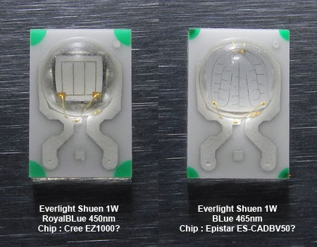 Everlight LED Chip