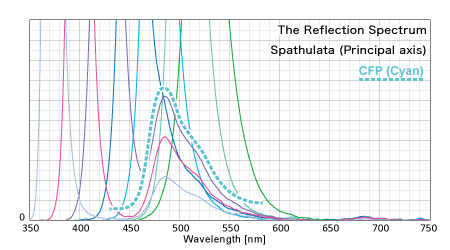 各波長によるスパスラタ･グリーンの反射スペクトル