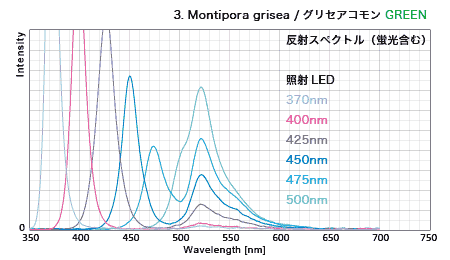 グリセアコモン・蛍光グリーン 反射スペクトル