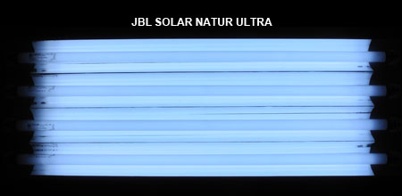 JBL SOLAR NATUR ULTRA 発光色