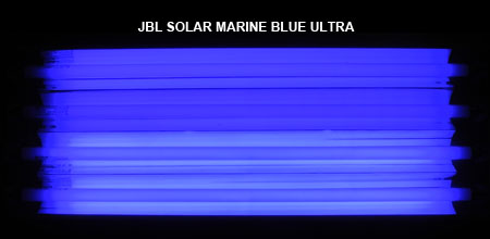 JBL SOLAR MARINE BLUE ULTRA 発光色