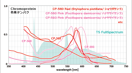 赤い色素タンパクの吸収スペクトルと一般T8のフラットスペクトル
