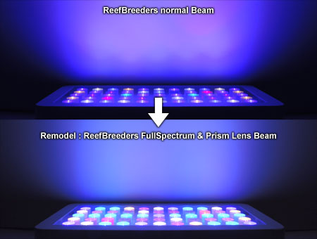 ReefBreeders 120W フルスペクトル＆プリズムレンズ仕様 ビーム比較