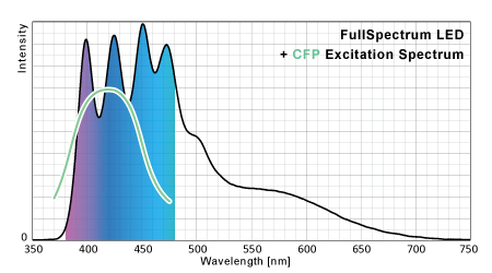 フルスペクトルLEDのシアン蛍光タンパク励起ポテンシャル