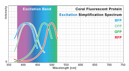 サンゴ蛍光タンパク励起スペクトル 簡略グラフと励起帯域
