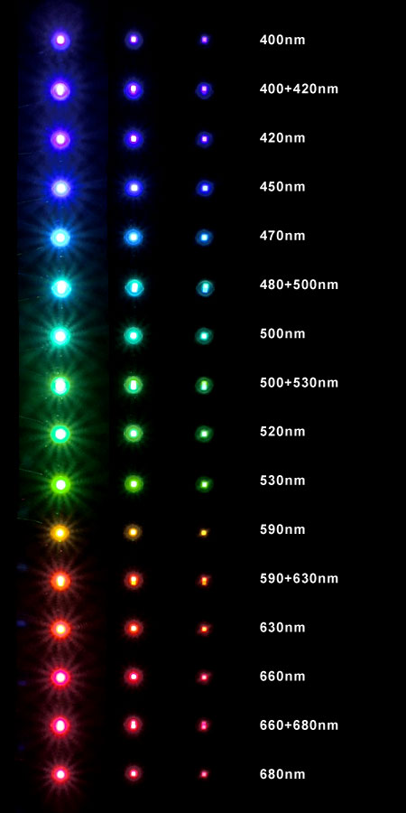 自作向け最新LED素子の発光色