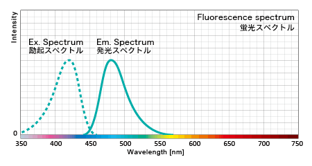 蛍光タンパクの励起スペクトル特性と発光スペクトル特性