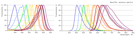 蛍光タンパクの励起発光スペクトル