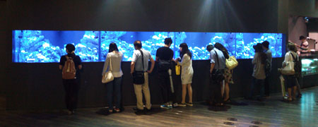 開館中のコーラルカフェバー巨大サンゴ水槽