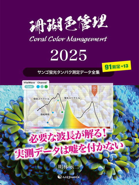 珊瑚色管理2022