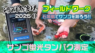 高校の野外活動として石垣島のビーチでサンゴの蛍光タンパクを測定しました!