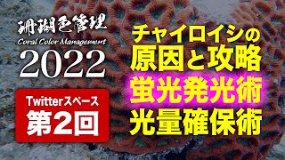 珊瑚色管理2022 第2回:チャイロイシの原因と攻略、蛍光発光術、光量確保術