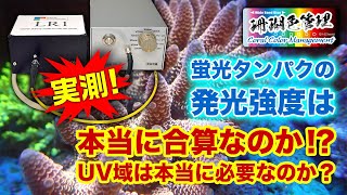 蛍光タンパクの発光強度は本当に足し算なのか? ブルー蛍光とシアン蛍光には本当にUV域が必要なのか?