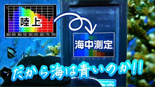 サンゴに必要な光強度と波長を調べるため海中のPARとスペクトルを測ってみた!