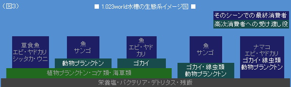 図3:ナチュラル水槽の生態系