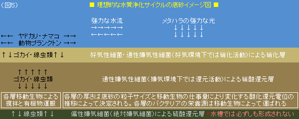 図5:理想的な砂層